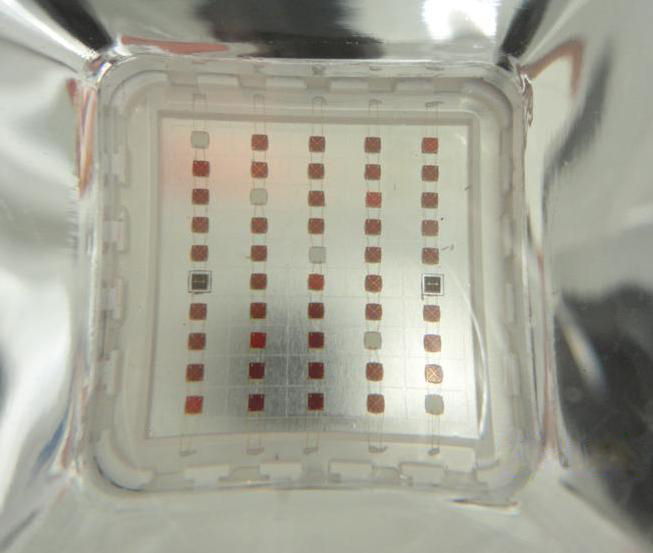 200W Integrated chip COB LED Grow Light 2X100W